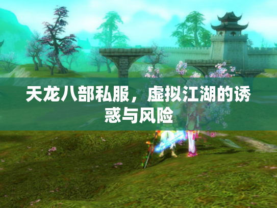 天龙八部私服，虚拟江湖的诱惑与风险