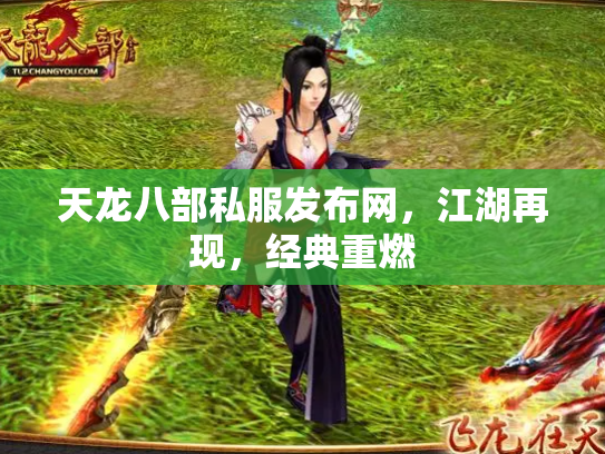 天龙八部私服发布网，江湖再现，经典重燃