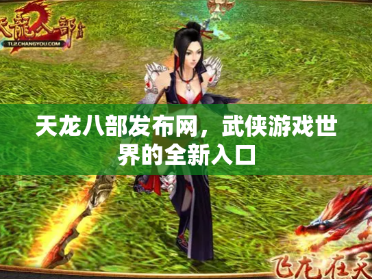 天龙八部发布网，武侠游戏世界的全新入口
