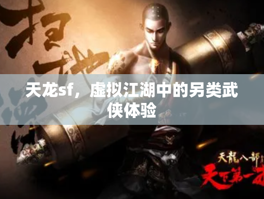 天龙sf，虚拟江湖中的另类武侠体验