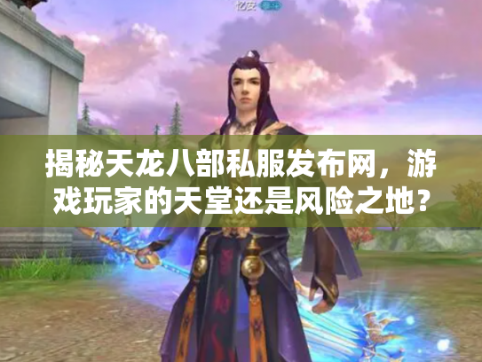 揭秘天龙八部私服发布网，游戏玩家的天堂还是风险之地？