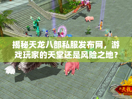 揭秘天龙八部私服发布网，游戏玩家的天堂还是风险之地？