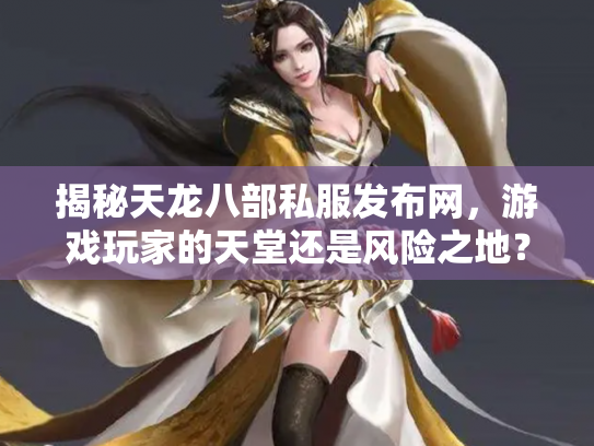 揭秘天龙八部私服发布网，游戏玩家的天堂还是风险之地？