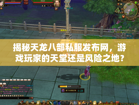 揭秘天龙八部私服发布网，游戏玩家的天堂还是风险之地？