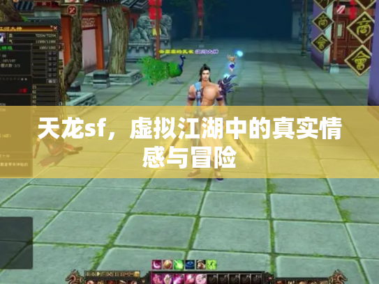 天龙sf，虚拟江湖中的真实情感与冒险