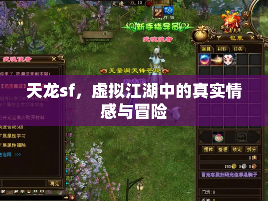 天龙sf，虚拟江湖中的真实情感与冒险