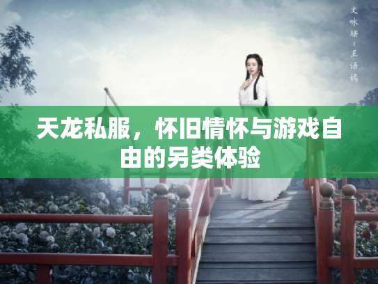 天龙私服，怀旧情怀与游戏自由的另类体验
