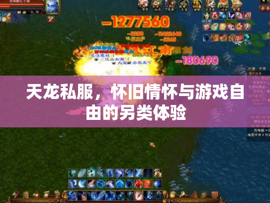 天龙私服，怀旧情怀与游戏自由的另类体验