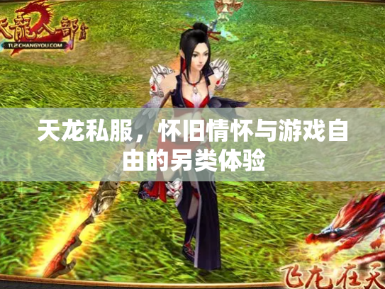 天龙私服，怀旧情怀与游戏自由的另类体验