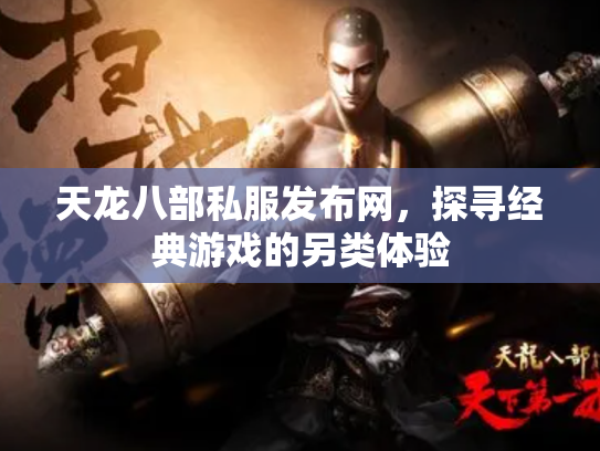 天龙八部私服发布网，探寻经典游戏的另类体验