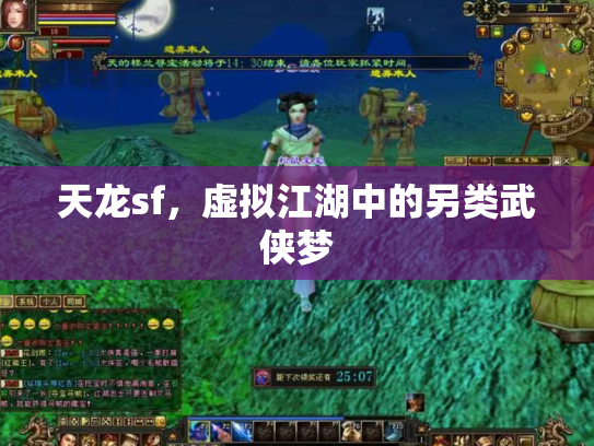 天龙sf，虚拟江湖中的另类武侠梦