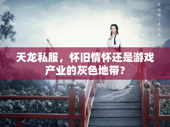 天龙私服，怀旧情怀还是游戏产业的灰色地带？