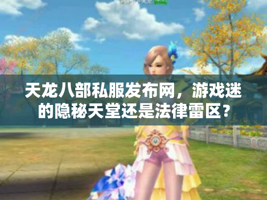 天龙八部私服发布网，游戏迷的隐秘天堂还是法律雷区？