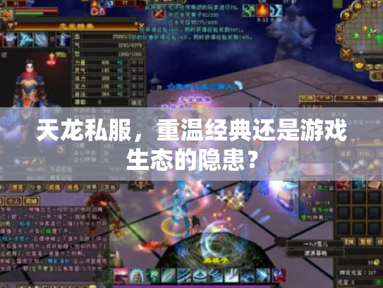天龙私服，重温经典还是游戏生态的隐患？