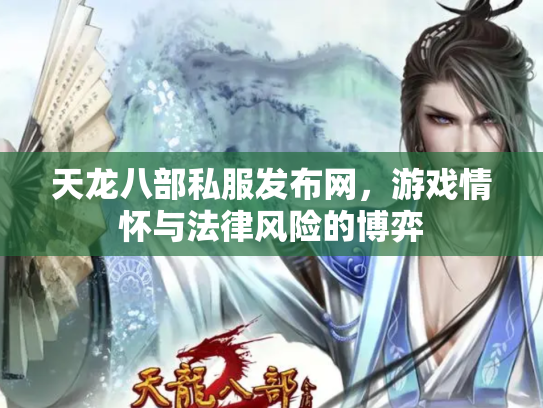 天龙八部私服发布网，游戏情怀与法律风险的博弈