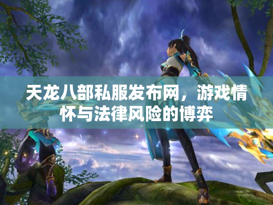 天龙八部私服发布网，游戏情怀与法律风险的博弈