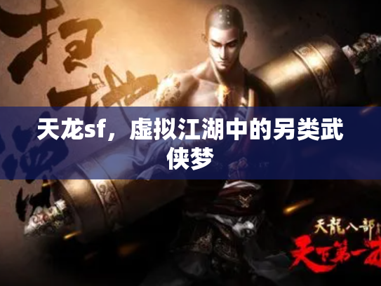 天龙sf，虚拟江湖中的另类武侠梦