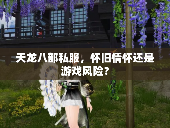 天龙八部私服，怀旧情怀还是游戏风险？