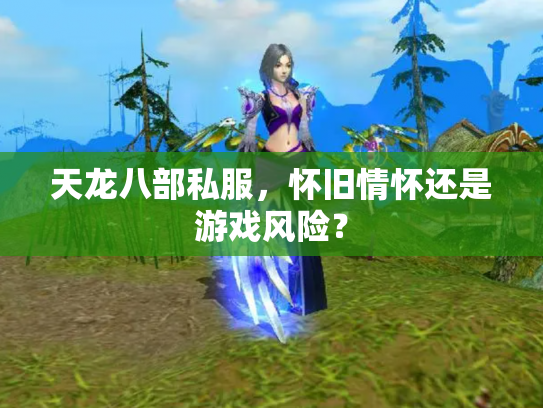 天龙八部私服，怀旧情怀还是游戏风险？