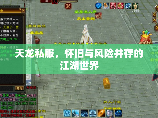 天龙私服，怀旧与风险并存的江湖世界