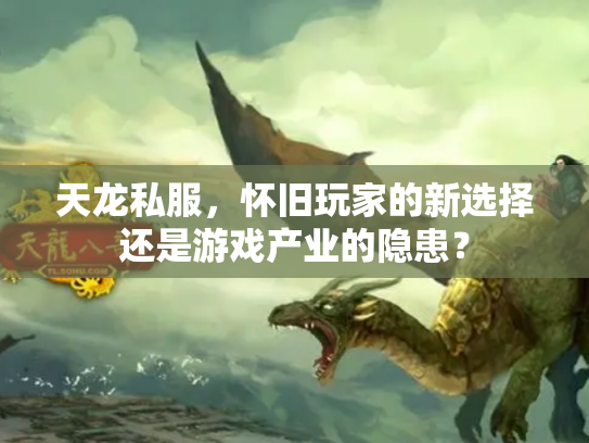 天龙私服，怀旧玩家的新选择还是游戏产业的隐患？
