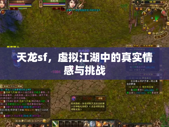 天龙sf，虚拟江湖中的真实情感与挑战