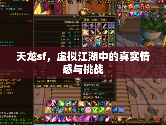 天龙sf，虚拟江湖中的真实情感与挑战
