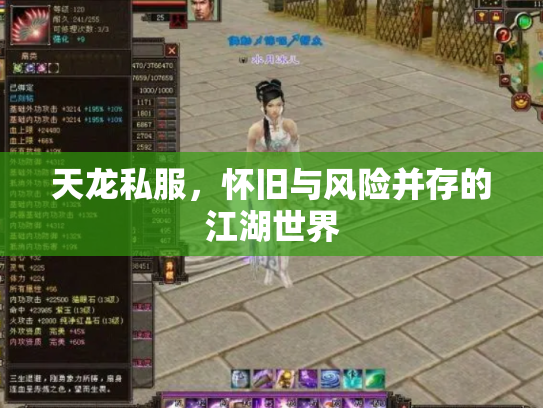 天龙私服，怀旧与风险并存的江湖世界