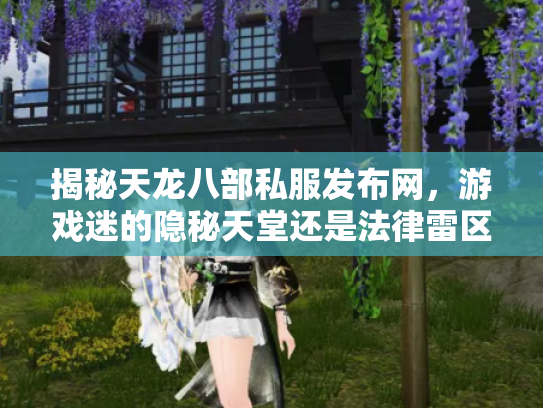 揭秘天龙八部私服发布网，游戏迷的隐秘天堂还是法律雷区？