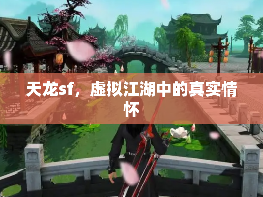 天龙sf，虚拟江湖中的真实情怀
