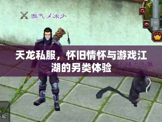 天龙私服，怀旧情怀与游戏江湖的另类体验
