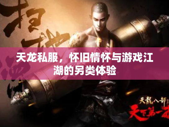 天龙私服，怀旧情怀与游戏江湖的另类体验