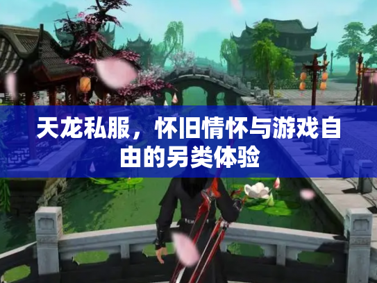 天龙私服，怀旧情怀与游戏自由的另类体验