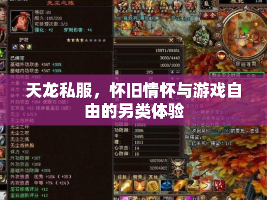 天龙私服，怀旧情怀与游戏自由的另类体验