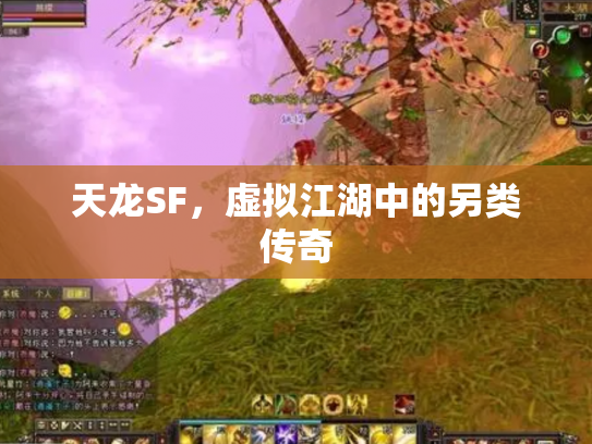 天龙SF，虚拟江湖中的另类传奇