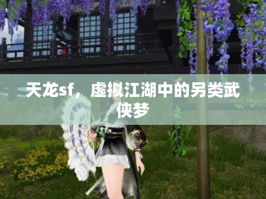 天龙sf，虚拟江湖中的另类武侠梦