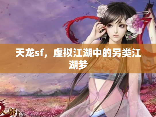 天龙sf，虚拟江湖中的另类江湖梦