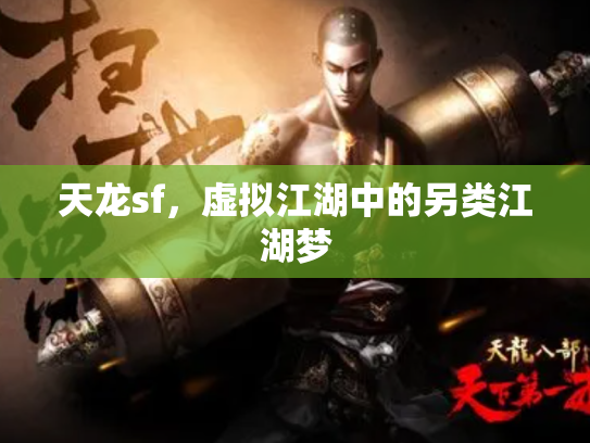 天龙sf，虚拟江湖中的另类江湖梦