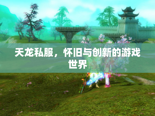 天龙私服，怀旧与创新的游戏世界