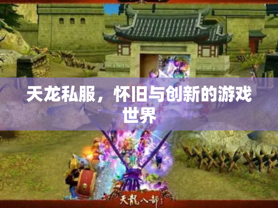 天龙私服，怀旧与创新的游戏世界