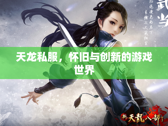 天龙私服，怀旧与创新的游戏世界