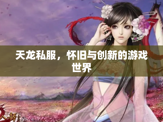 天龙私服，怀旧与创新的游戏世界
