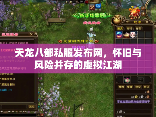 天龙八部私服发布网，怀旧与风险并存的虚拟江湖