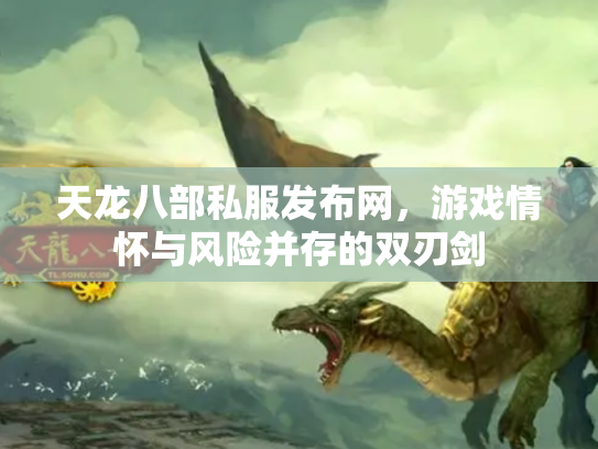 天龙八部私服发布网，游戏情怀与风险并存的双刃剑