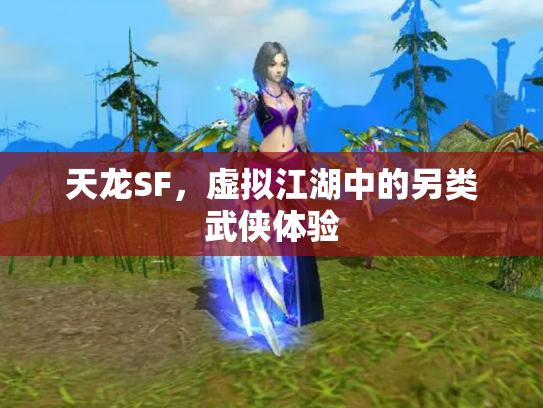 天龙SF，虚拟江湖中的另类武侠体验