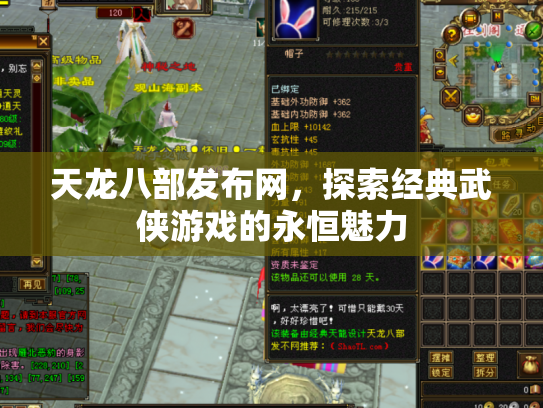 天龙八部发布网，探索经典武侠游戏的永恒魅力
