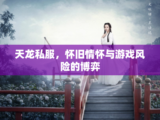 天龙私服，怀旧情怀与游戏风险的博弈