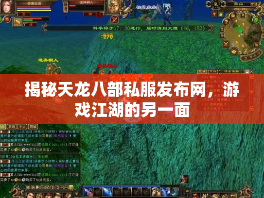 揭秘天龙八部私服发布网，游戏江湖的另一面