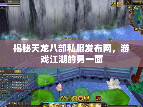揭秘天龙八部私服发布网，游戏江湖的另一面