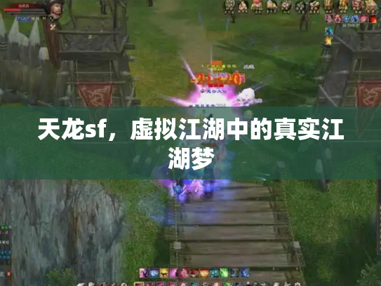 天龙sf，虚拟江湖中的真实江湖梦